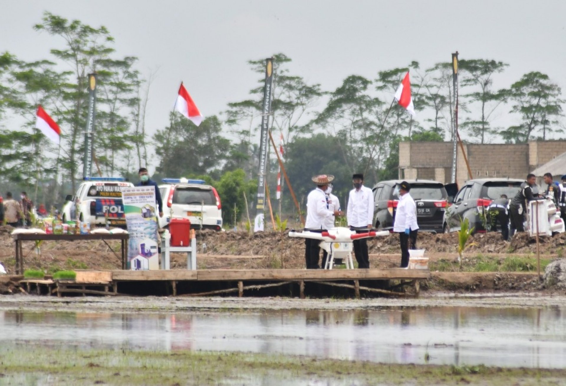 Plt. Gubernur Dampingi Presiden Joko Widodo Tinjau Lokasi Tanam Perdana Desa Belanti Siam, Tandai Dimulainya Program Food Estate di Kalteng