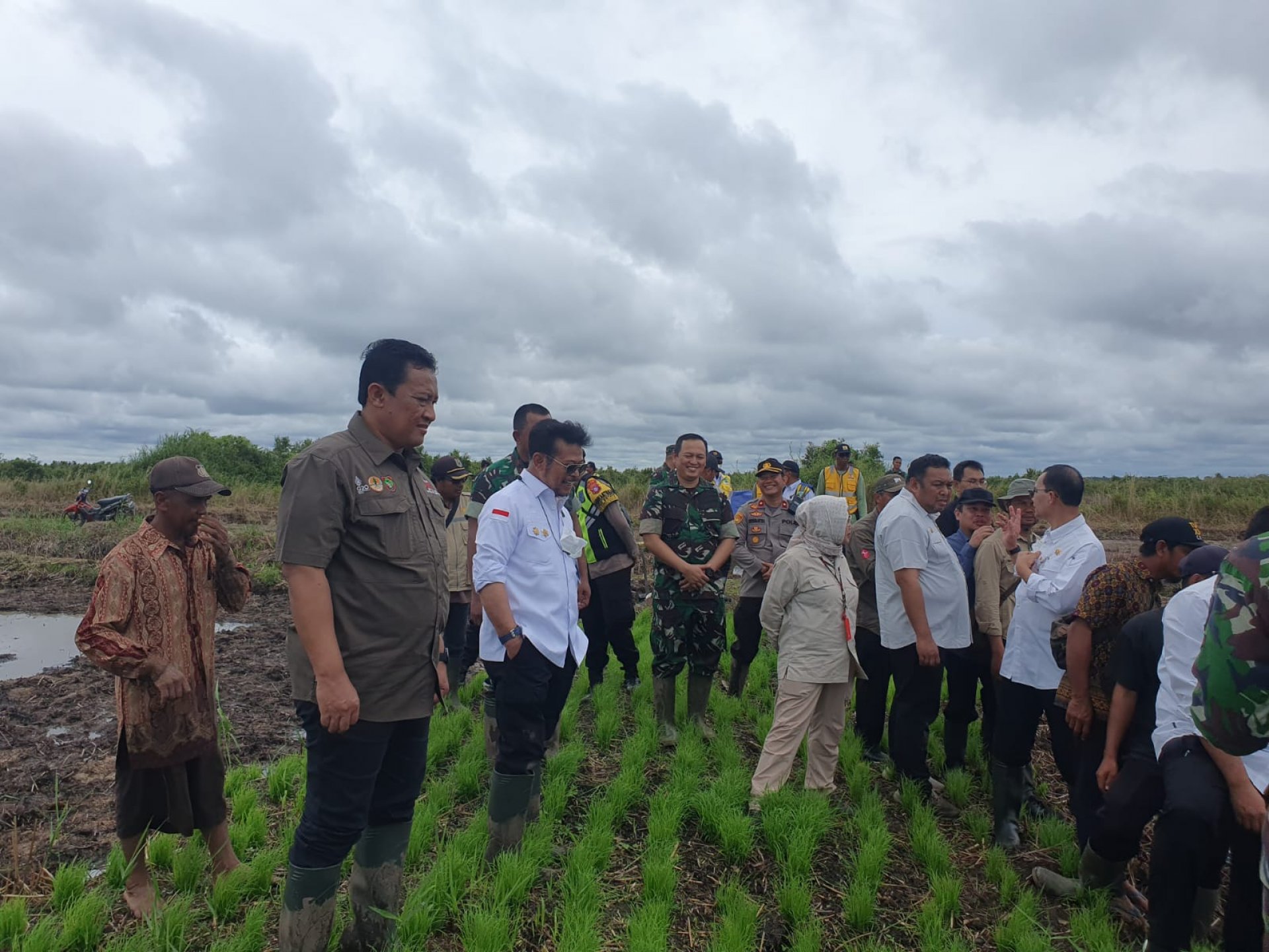 Wagub Dampingi Menteri Pertanian Kunjungi Lokasi Food Estate di Dadahup