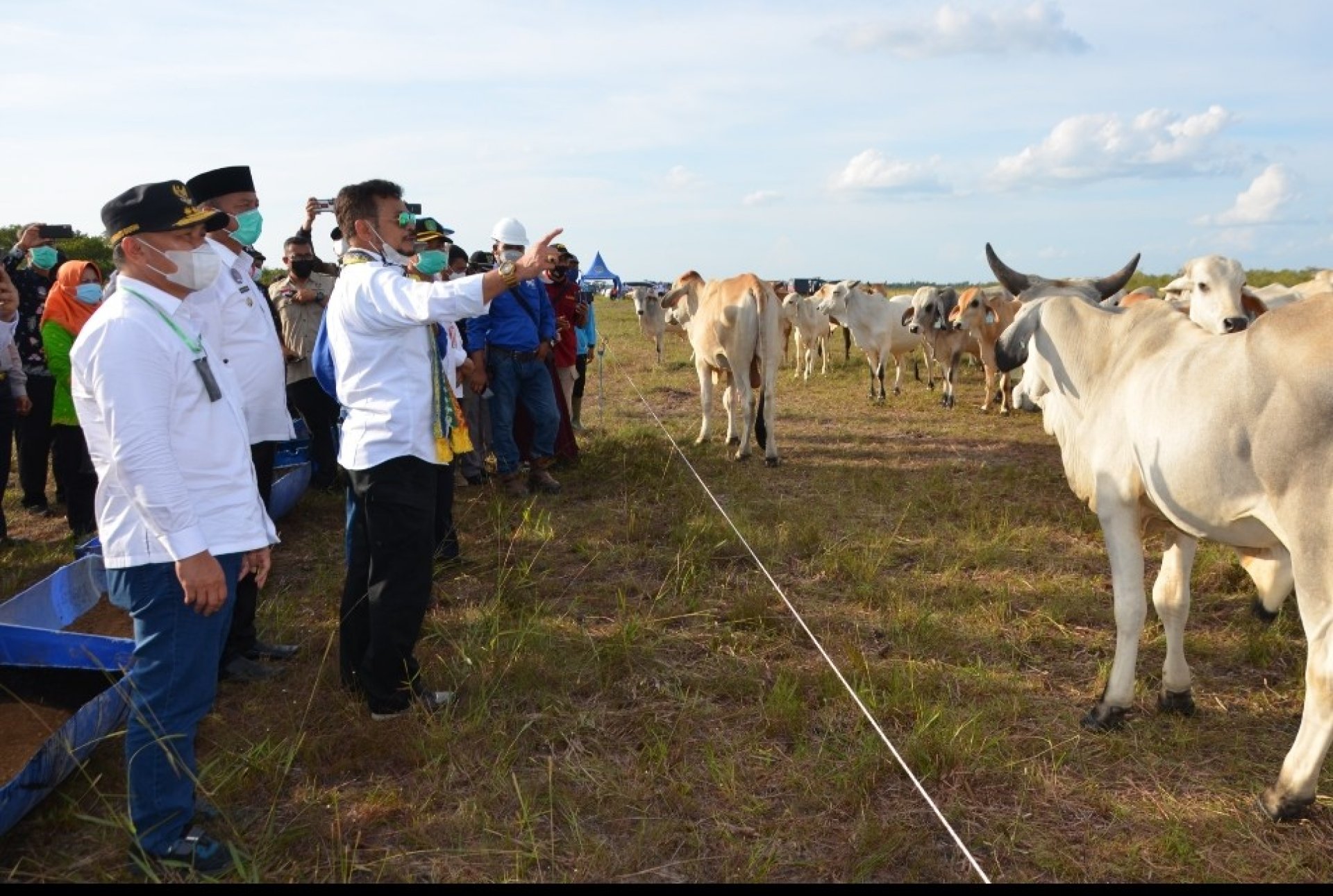 Menteri Pertanian Bersama Gubernur Kalteng Tinjau Peternakan Sapi di Kabupaten Sukamara