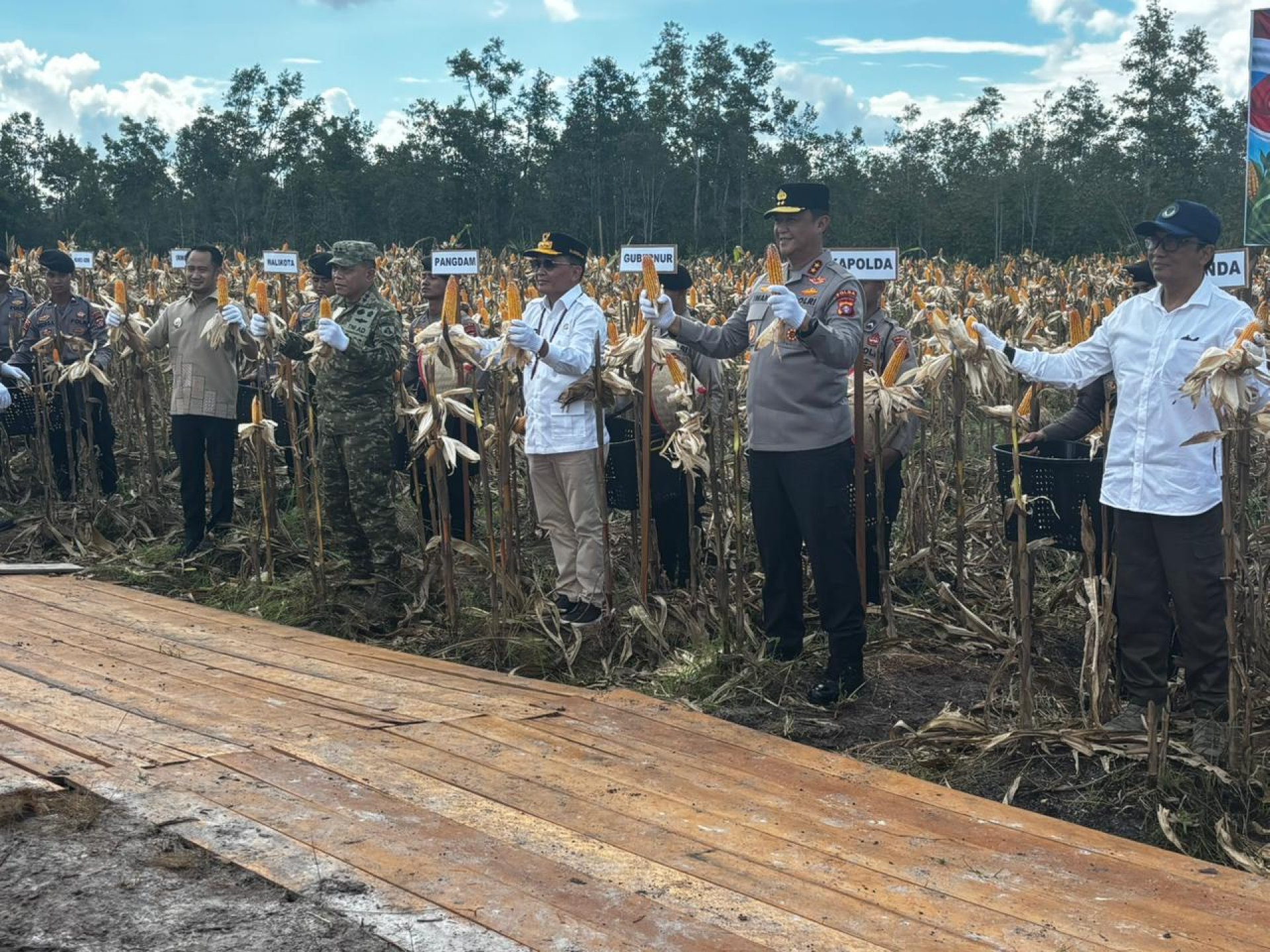 Panen Raya Jagung Serentak Kuartal II, Gubernur Apresiasi Peran Aktif Polda Kalteng Wujudkan Swasembada Pangan