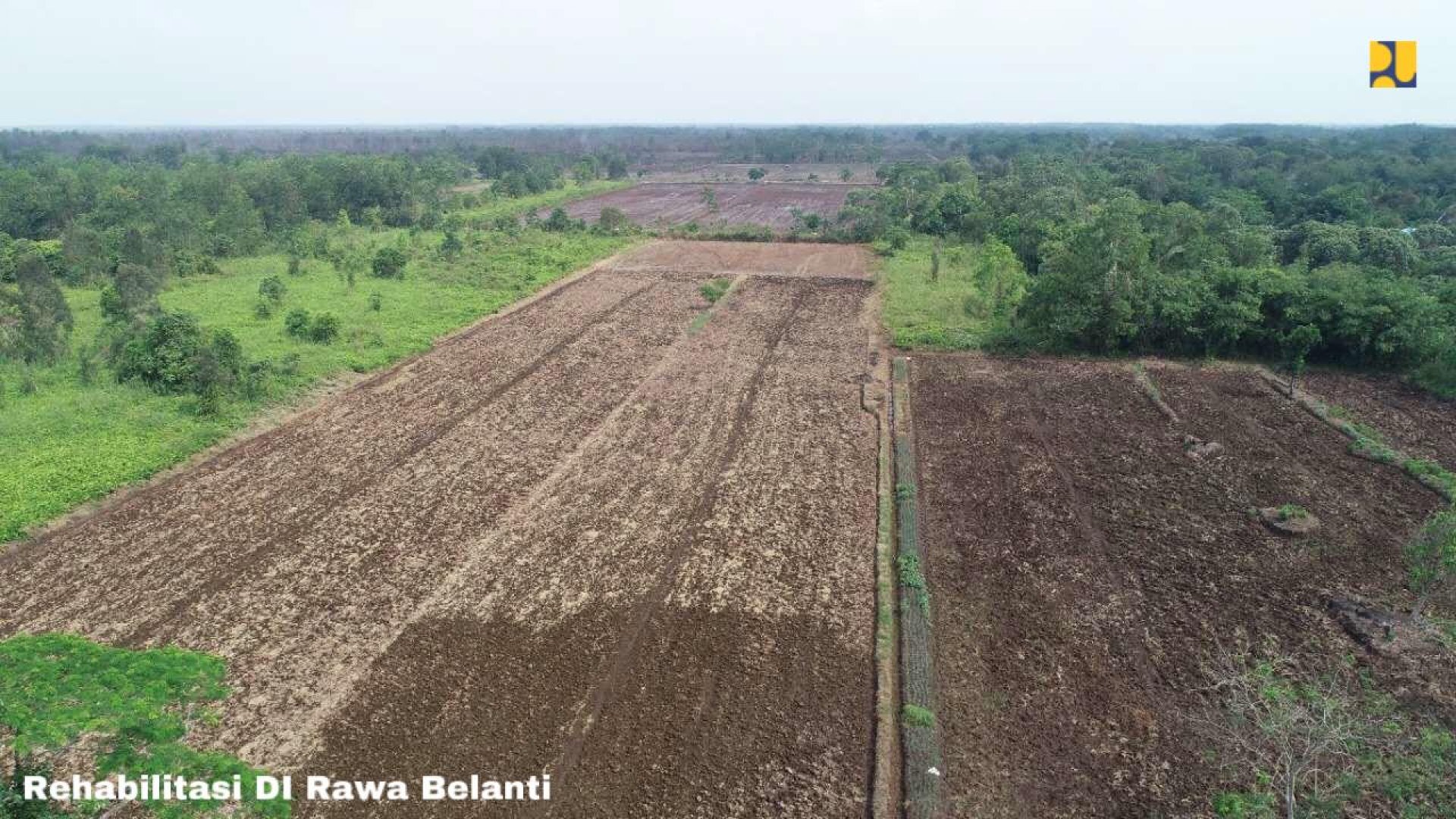 DUKUNG KETAHANAN PANGAN NASIONAL, KEMENTERIAN PUPR TARGETKAN OPTIMALISASI PRODUKSI 165 RIBU HEKTAR LAHAN DI KALIMANTAN TENGAH MULAI 2020 HINGGA 2022