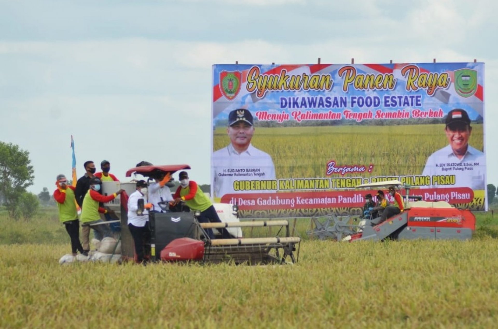 Gubernur Kalteng Sugianto Sabran Hadiri Syukuran Panen Raya di Desa Gadabung