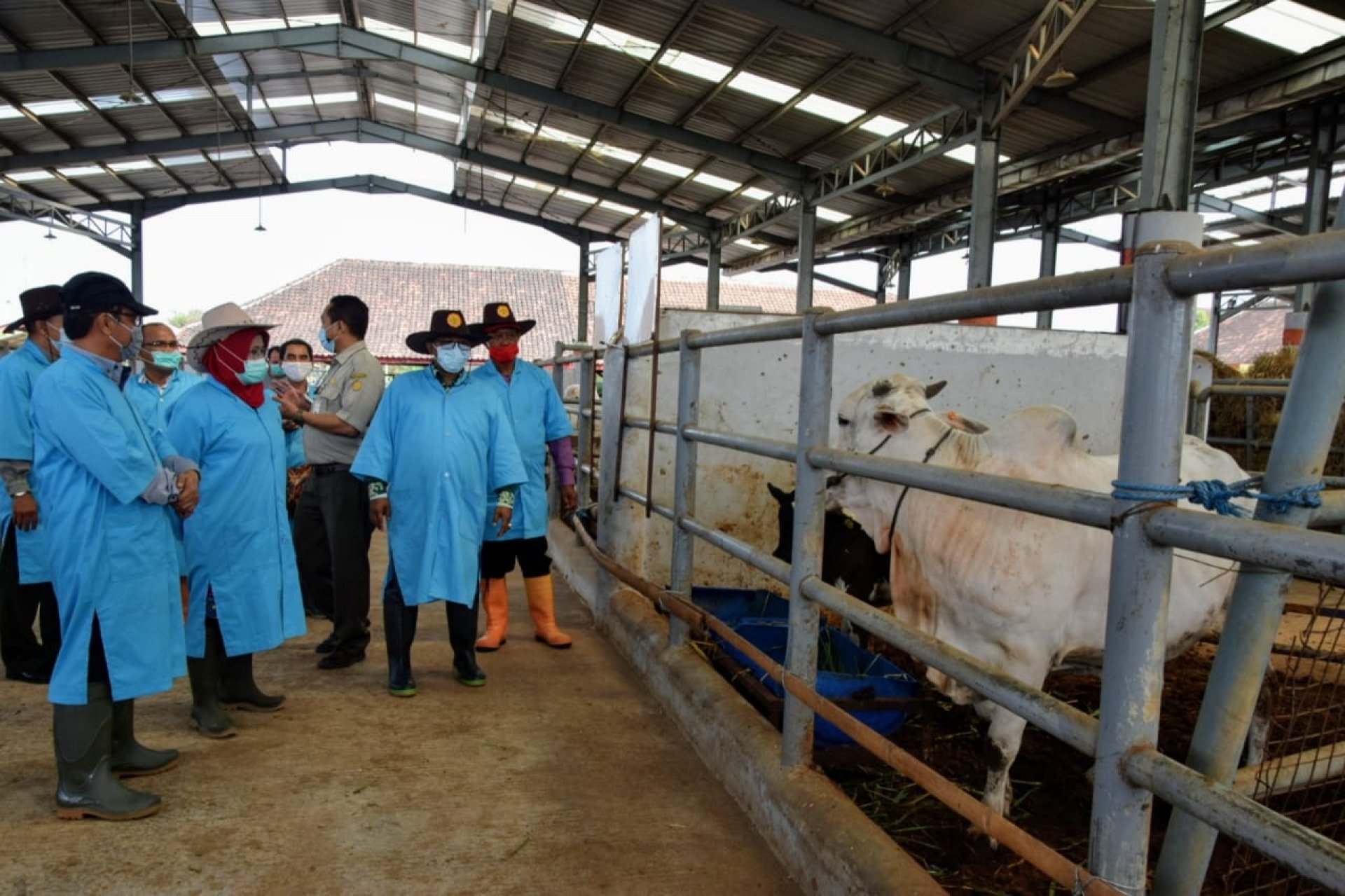 Kunjungi Loka Penelitian Sapi Pasuruan, Plt. Gubernur Kalteng Ingin Adopsi Teknologi Pengembangan Ternak Sapi Unggul