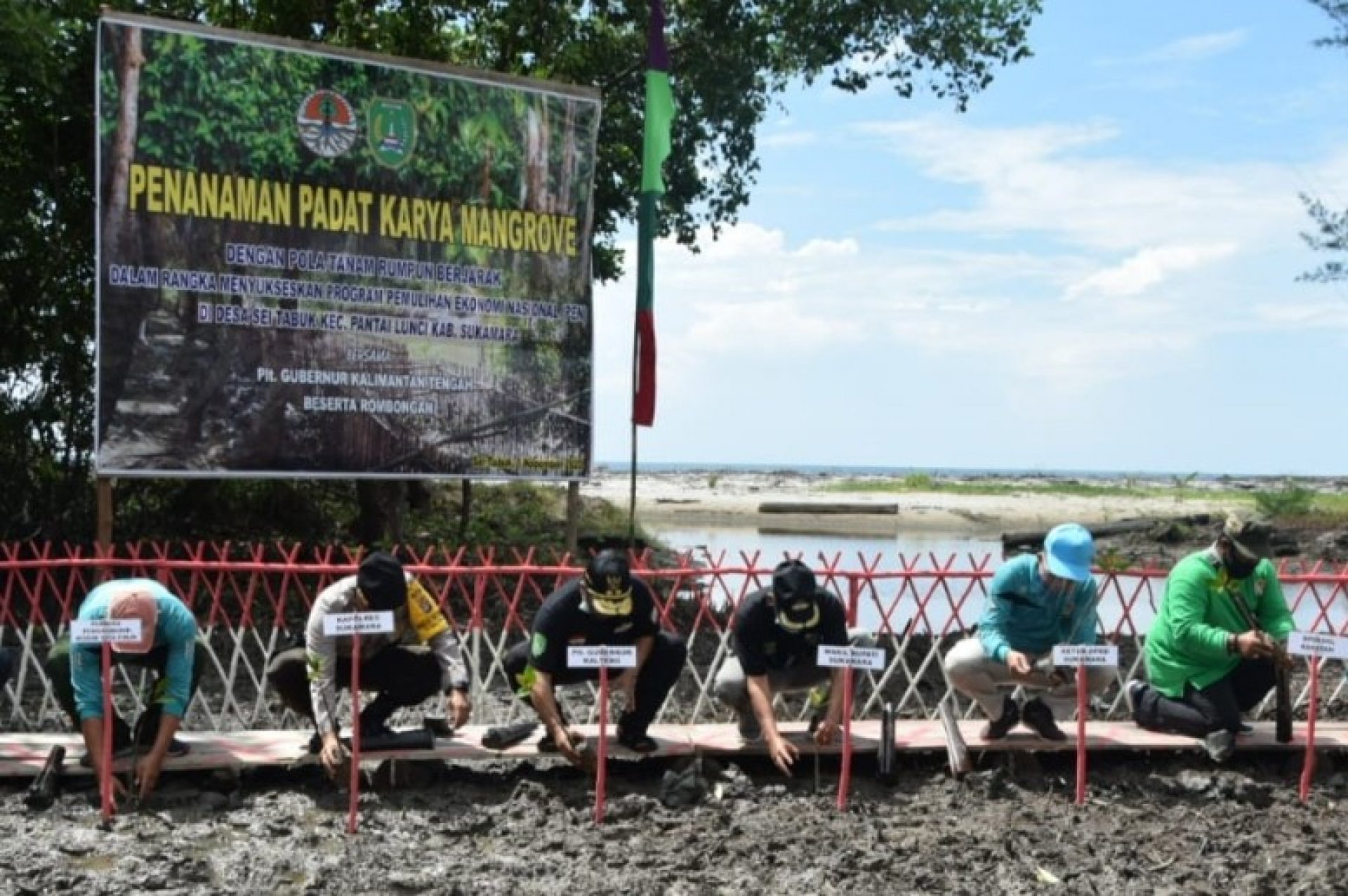Sukseskan PEN, Plt. Gubernur Kalteng Lakukan Tanam Bersama Program Padat Karya Mangrove di Desa Sungai Tabuk