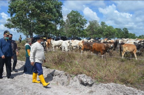Setda Prov Kalteng - Dukung Program Food Estate Kalteng, Kabupaten ...