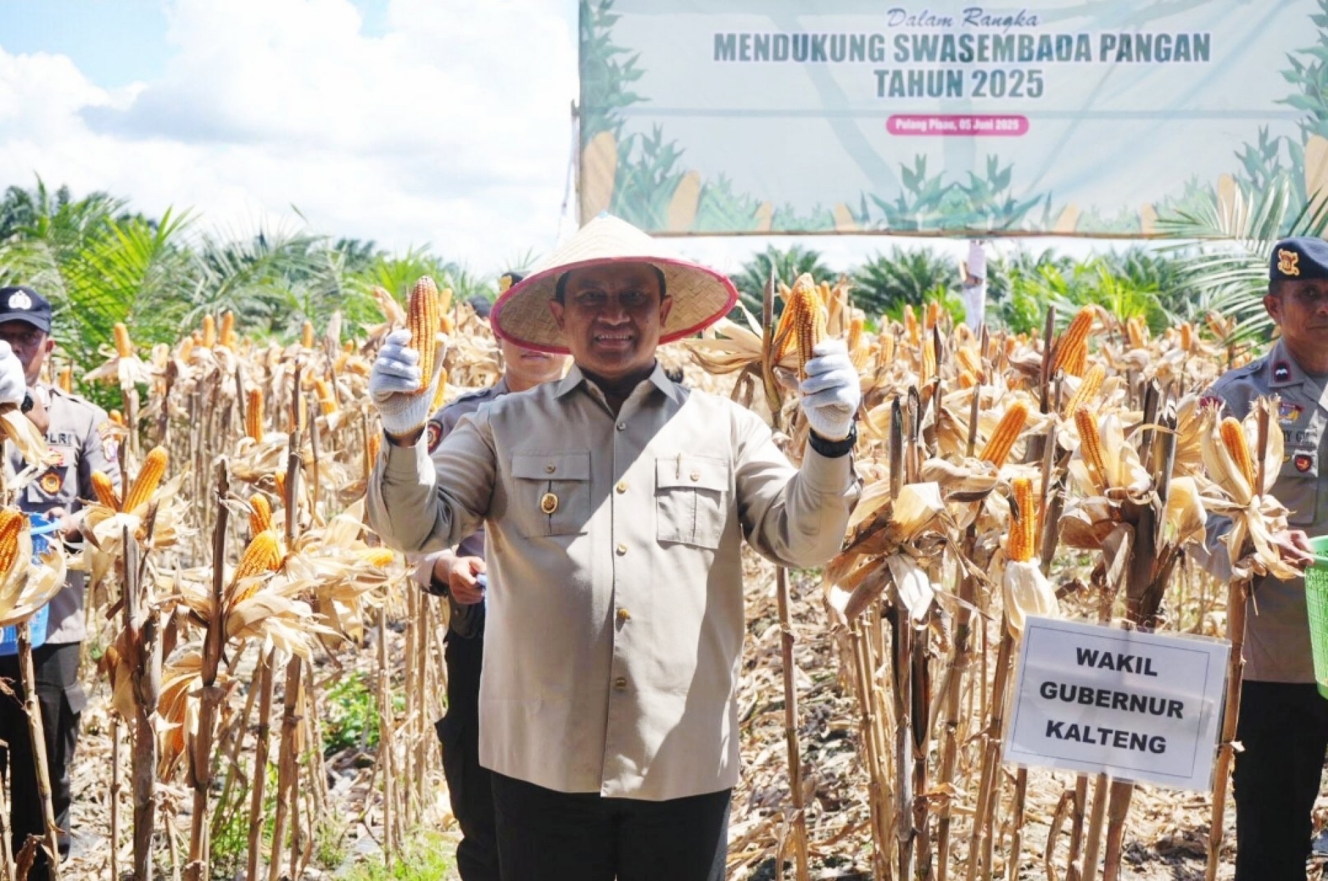 Wagub Edy Pratowo Panen Raya Jagung Serentak Kuartal II di Pulang Pisau