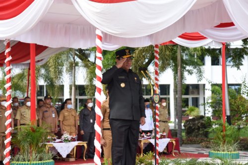 Setda Prov Kalteng - Peringati Hari Bela Negara Ke-74, Wagub Kalteng ...