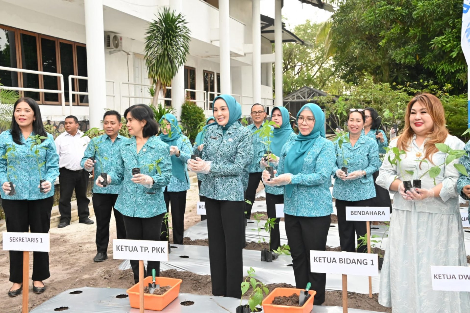 TP PKK Kalteng Dukung Ketahanan Pangan dengan Gerakan Menanam Cabai