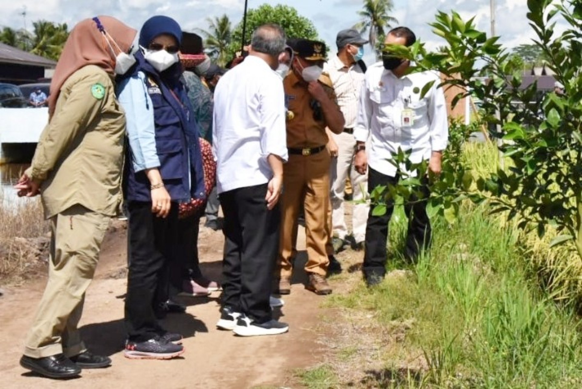 Pastikan Konektivitas Antarwilayah, Gubernur Kalteng Kunjungi Kawasan Food Estate di Desa Belanti Siam